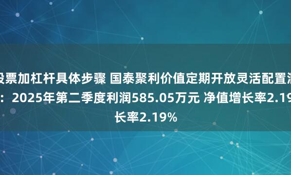 股票加杠杆具体步骤 国泰聚利价值定期开放灵活配置混合：2025年第二季度利润585.05万元 净值增长率2.19%